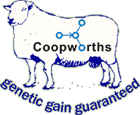 Coopworths for Profit